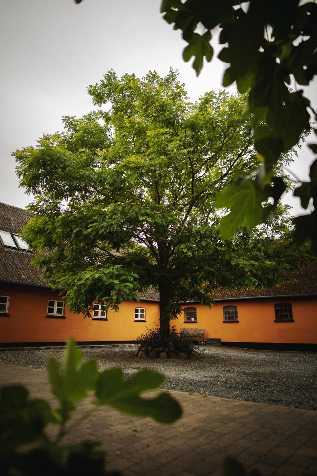 Akaciegaarden Bed & Breakfast Harlev  Экстерьер фото